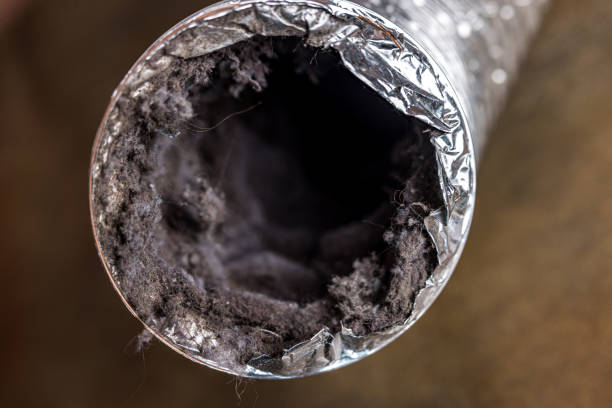 Best Home Air Vent Cleaning  in Parchment, MI