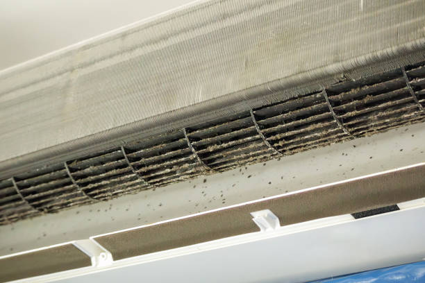 Best Emergency Air Duct Cleaning  in Parchment, MI